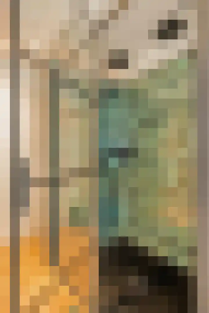 Bovenstraat 24 Limbricht thumbnail 32