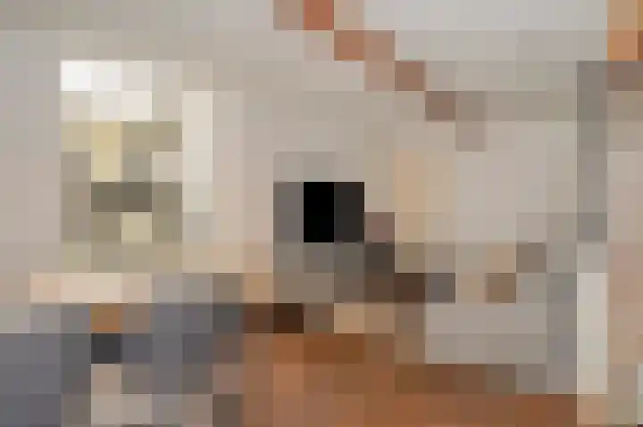 Bovenstraat 24 Limbricht thumbnail 39
