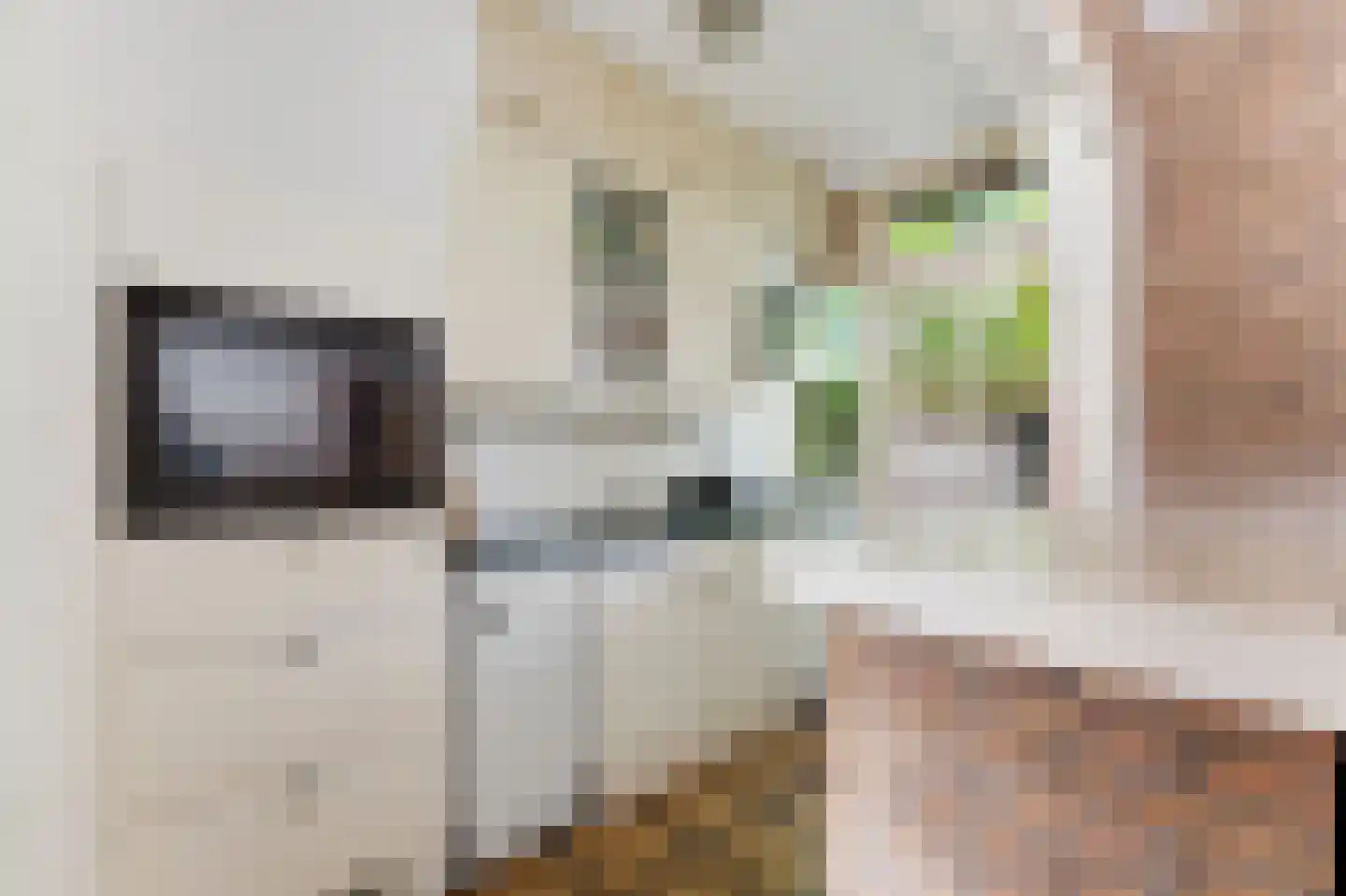 Bovenstraat 266 B Rotterdam thumbnail 15