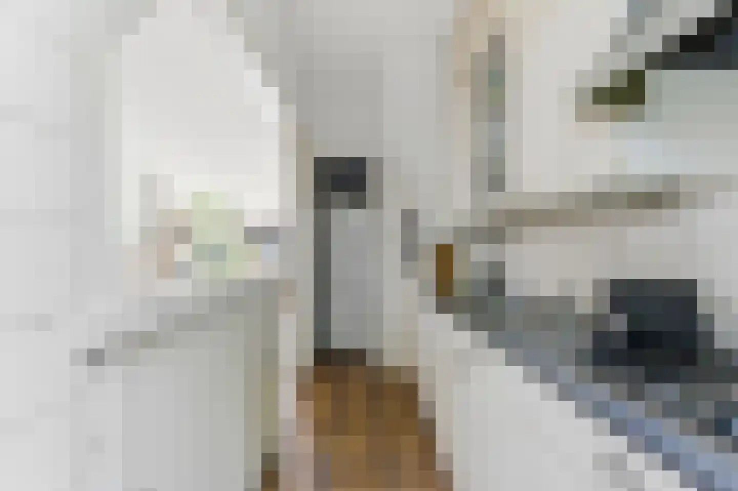 Bovenstraat 266 B Rotterdam thumbnail 17