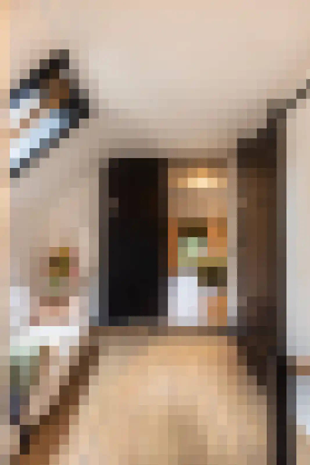 Bovenstraat 3 Bronkhorst thumbnail 41