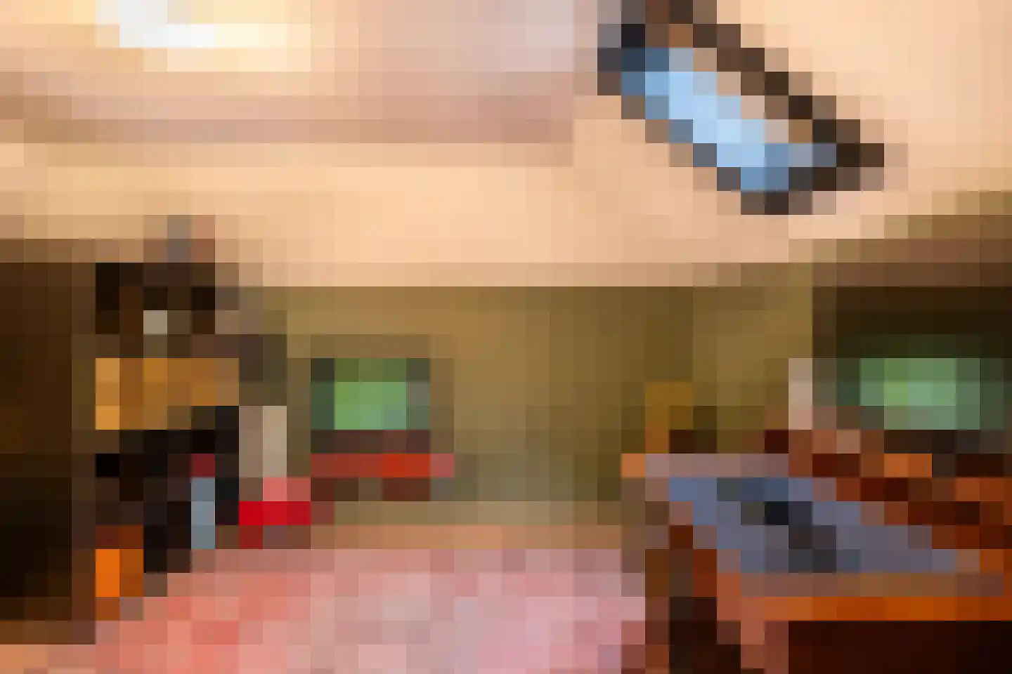 Bovenstraat 3 Bronkhorst thumbnail 45