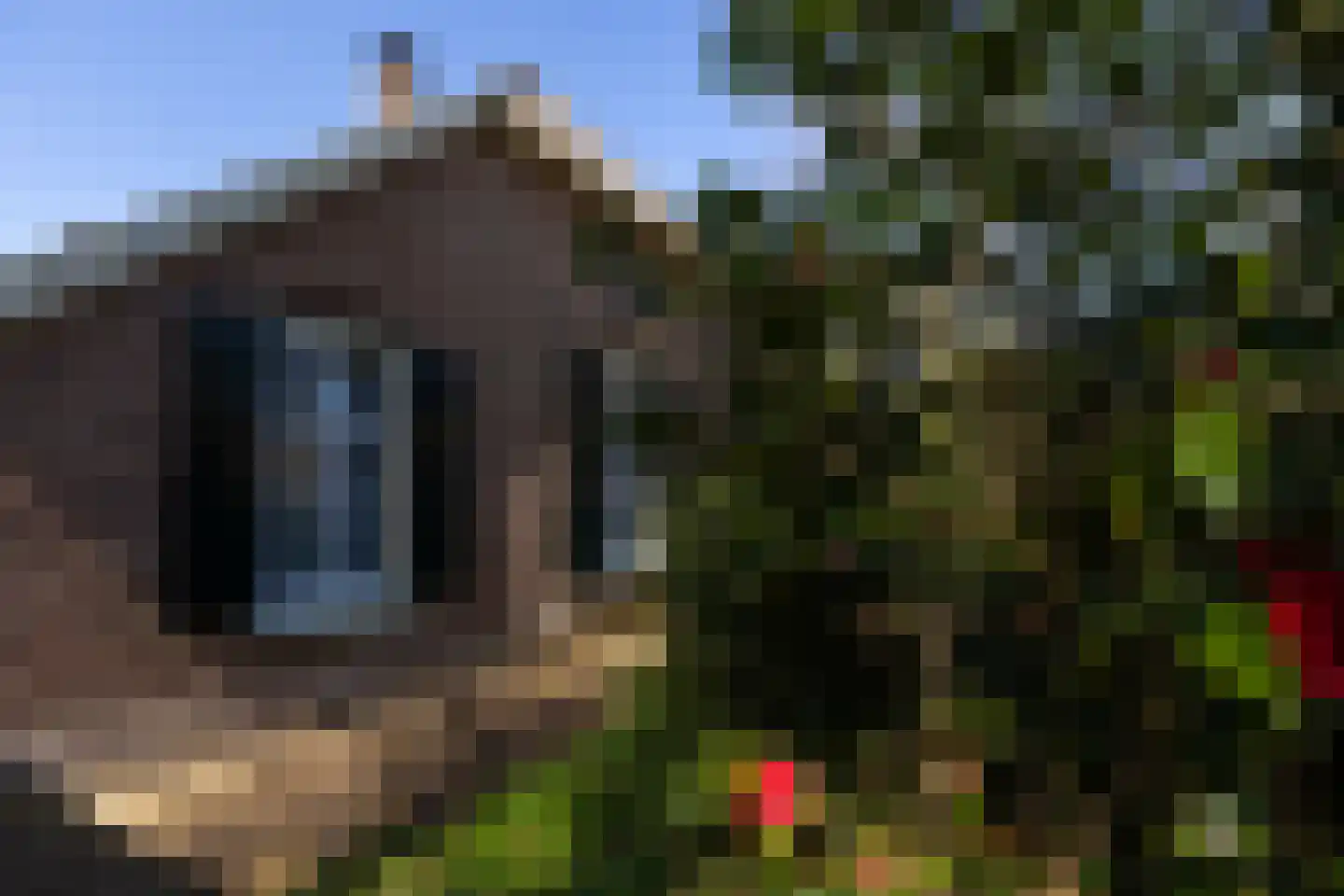 Bovenstraat 3 Bronkhorst thumbnail 50