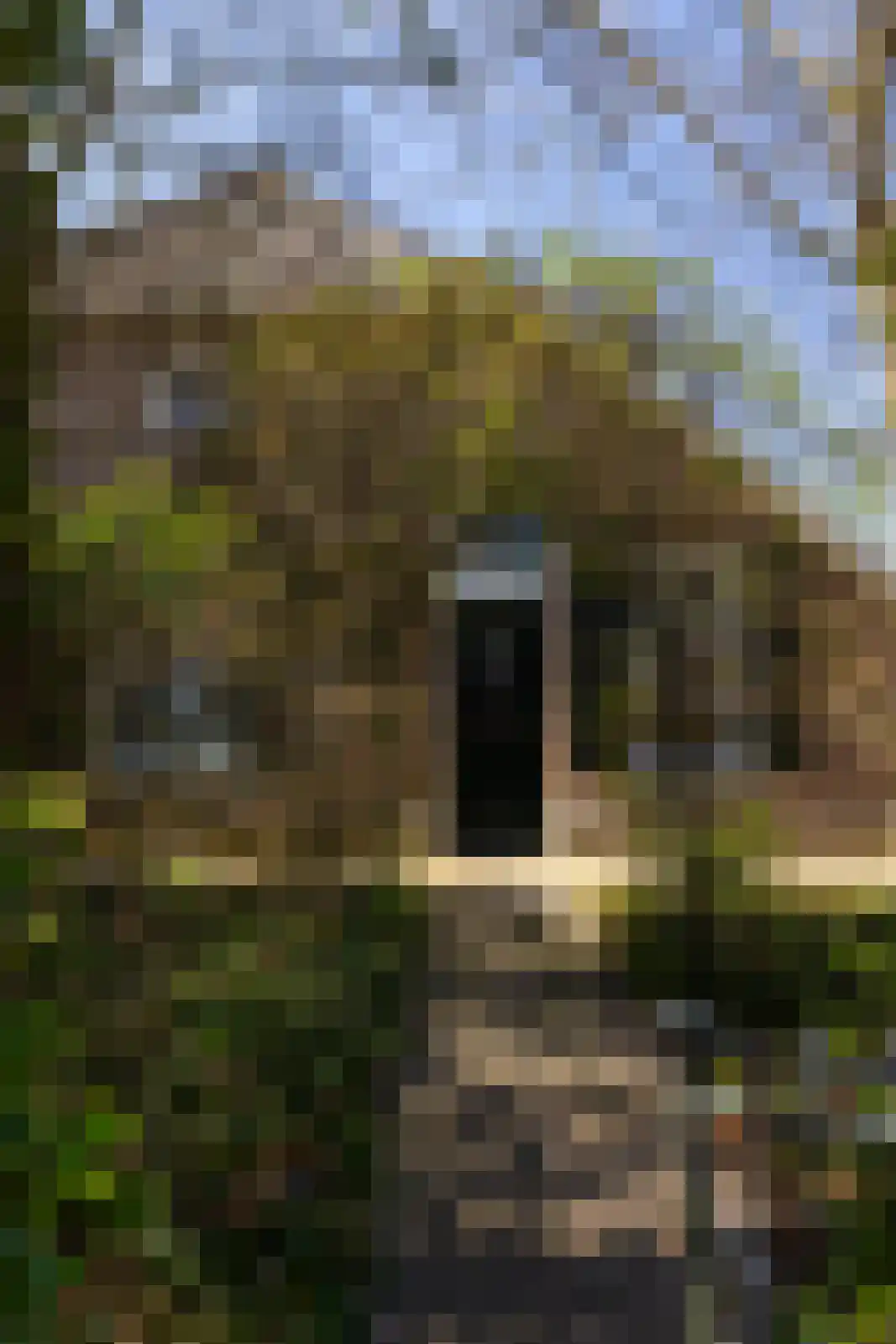 Bovenstraat 3 Bronkhorst thumbnail 51