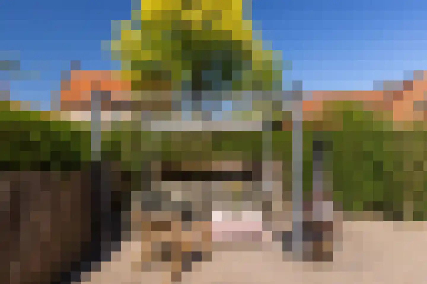 Bovenstraat 3 Bronkhorst thumbnail 55