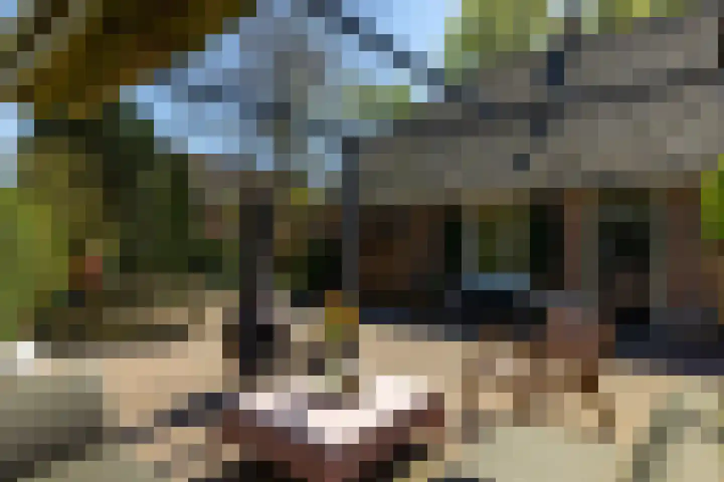 Bovenstraat 3 Bronkhorst thumbnail 56