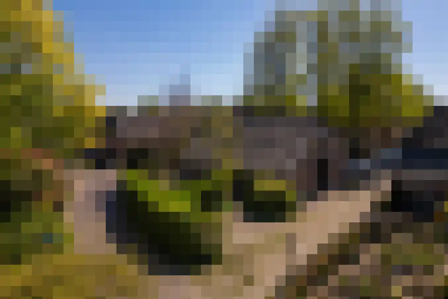 Bovenstraat 3 Bronkhorst thumbnail 61