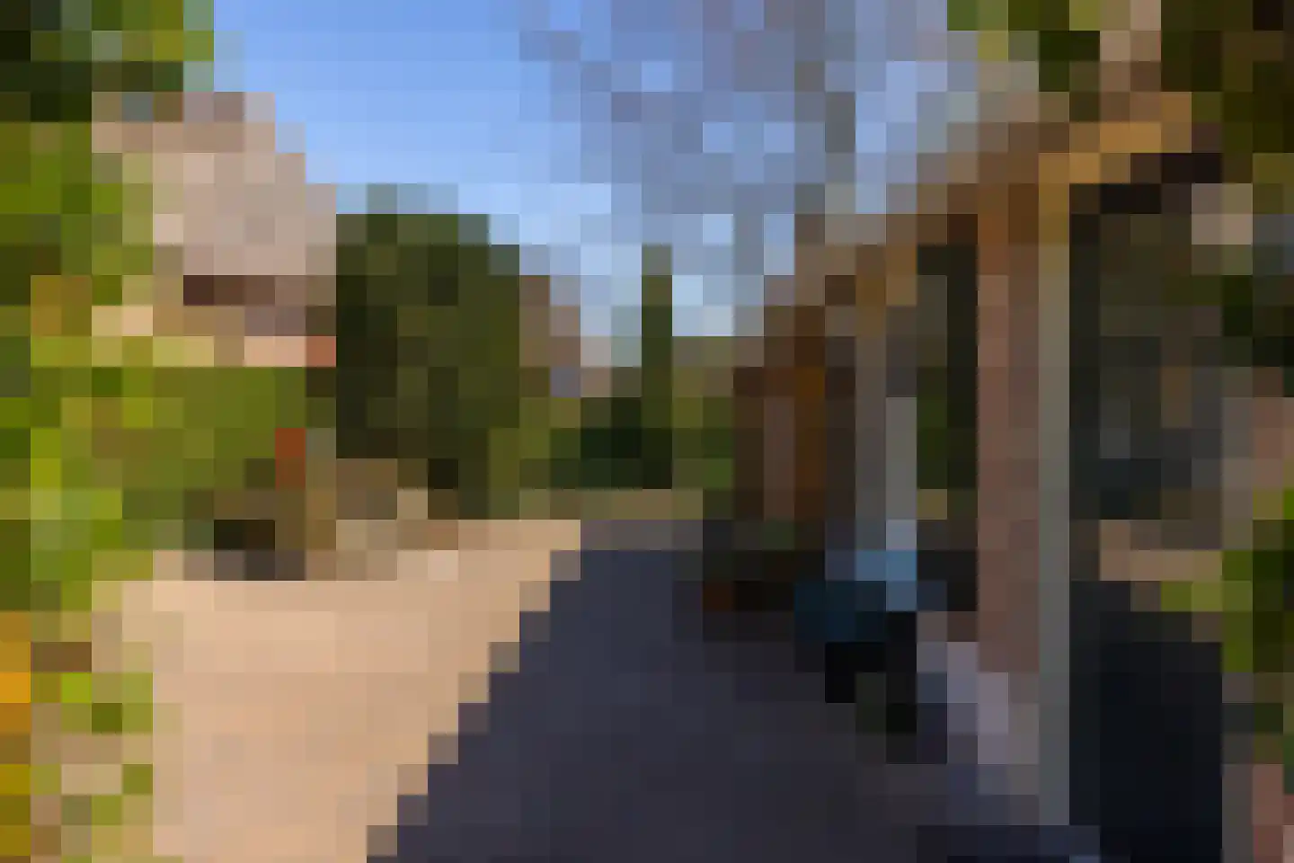 Bovenstraat 3 Bronkhorst thumbnail 64