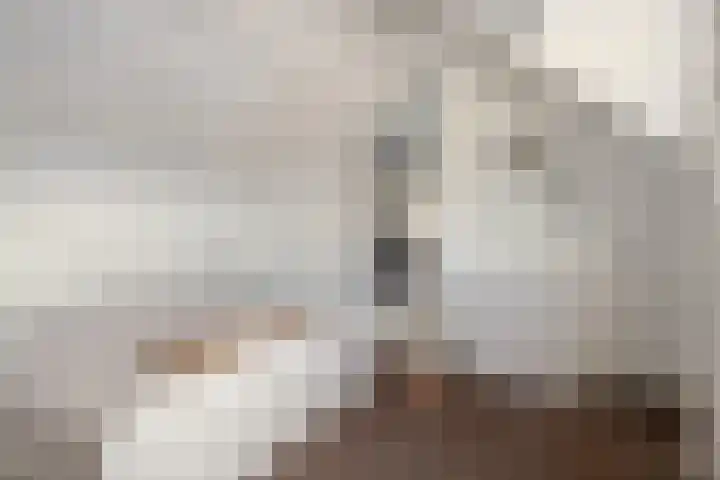 Bovenstraat 38 Hoeven thumbnail 24