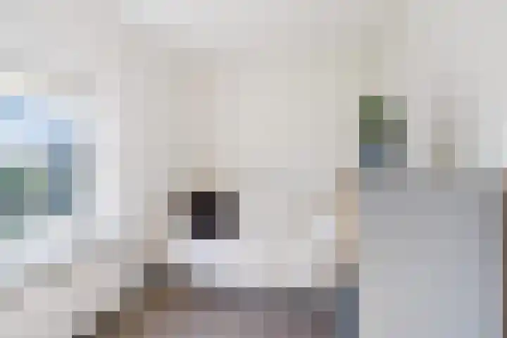 Bovenstraat 38 Hoeven thumbnail 32