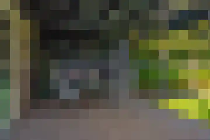 Bovenstraat 38 Hoeven thumbnail 39