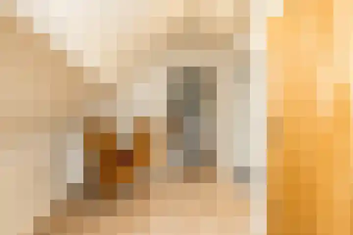 Bovenstraat 38 Limbricht thumbnail 24