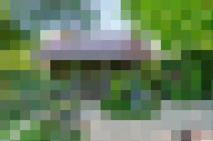 Bovenstraat 38 Limbricht thumbnail 37