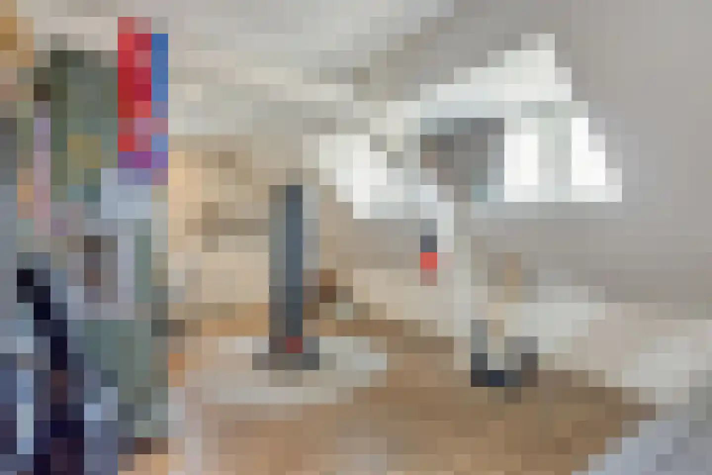 Bovenstraat 4 Eijsden thumbnail 22