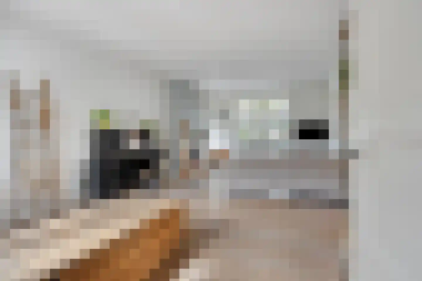Bovenstraat 4 Eijsden thumbnail 5