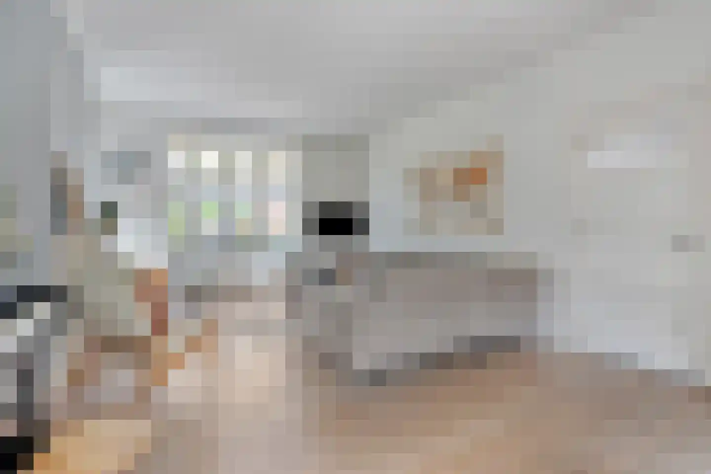 Bovenstraat 4 Eijsden thumbnail 6