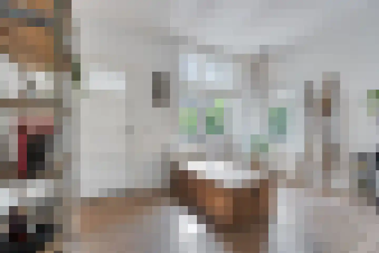 Bovenstraat 4 Eijsden thumbnail 9