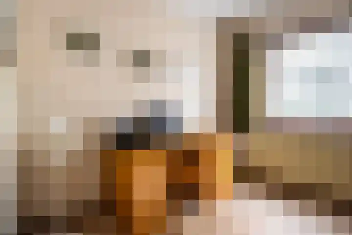 Bovenstraat 43 Hoeven thumbnail 25
