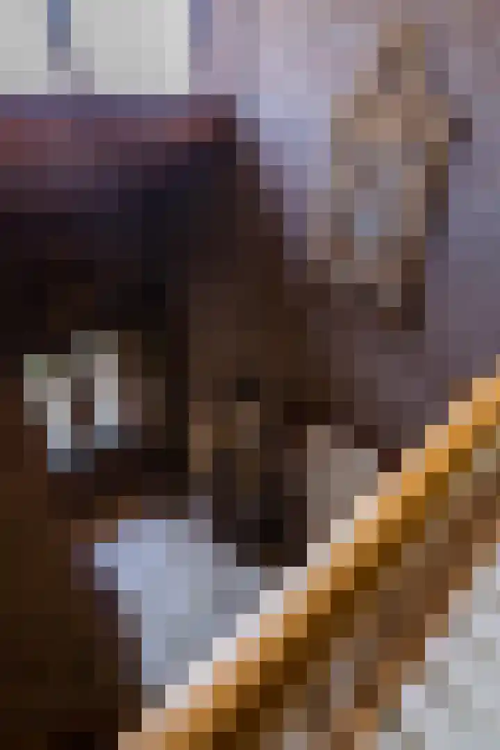 Bovenstraat 43 Hoeven thumbnail 28