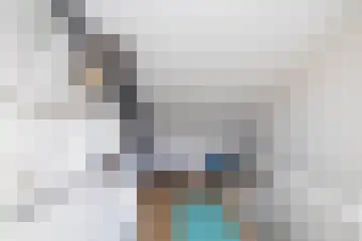 Bovenstraat 43 Hoeven thumbnail 33