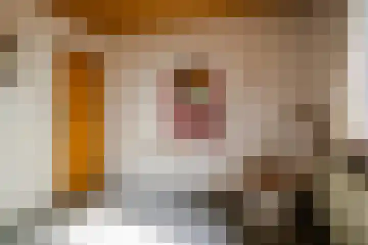 Bovenstraat 43 Hoeven thumbnail 34