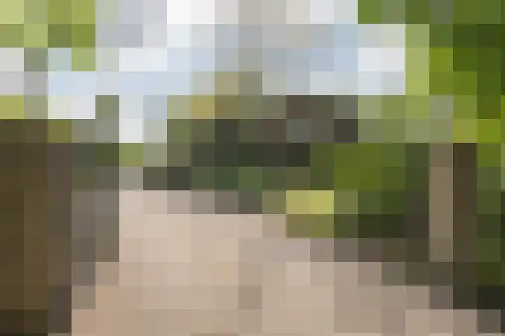 Bovenstraat 43 Hoeven thumbnail 4