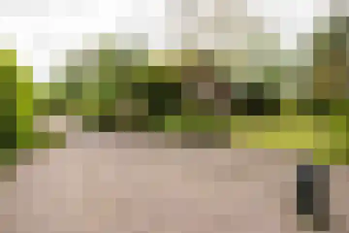 Bovenstraat 43 Hoeven thumbnail 5