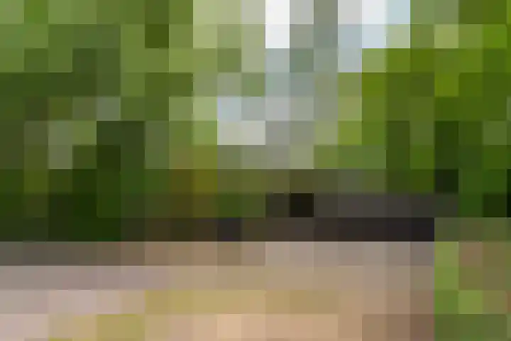 Bovenstraat 43 Hoeven thumbnail 48