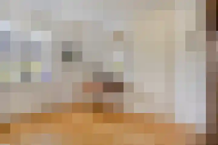 Bovenstraat 43 Hoeven thumbnail 54