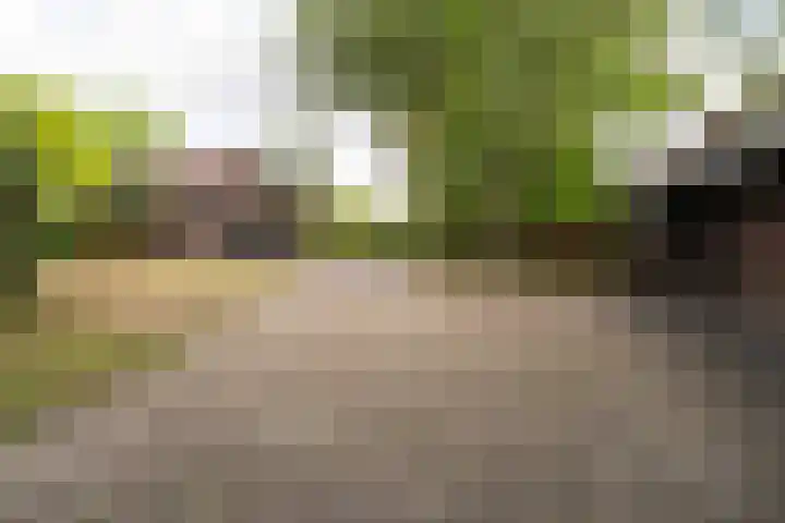 Bovenstraat 43 Hoeven thumbnail 7