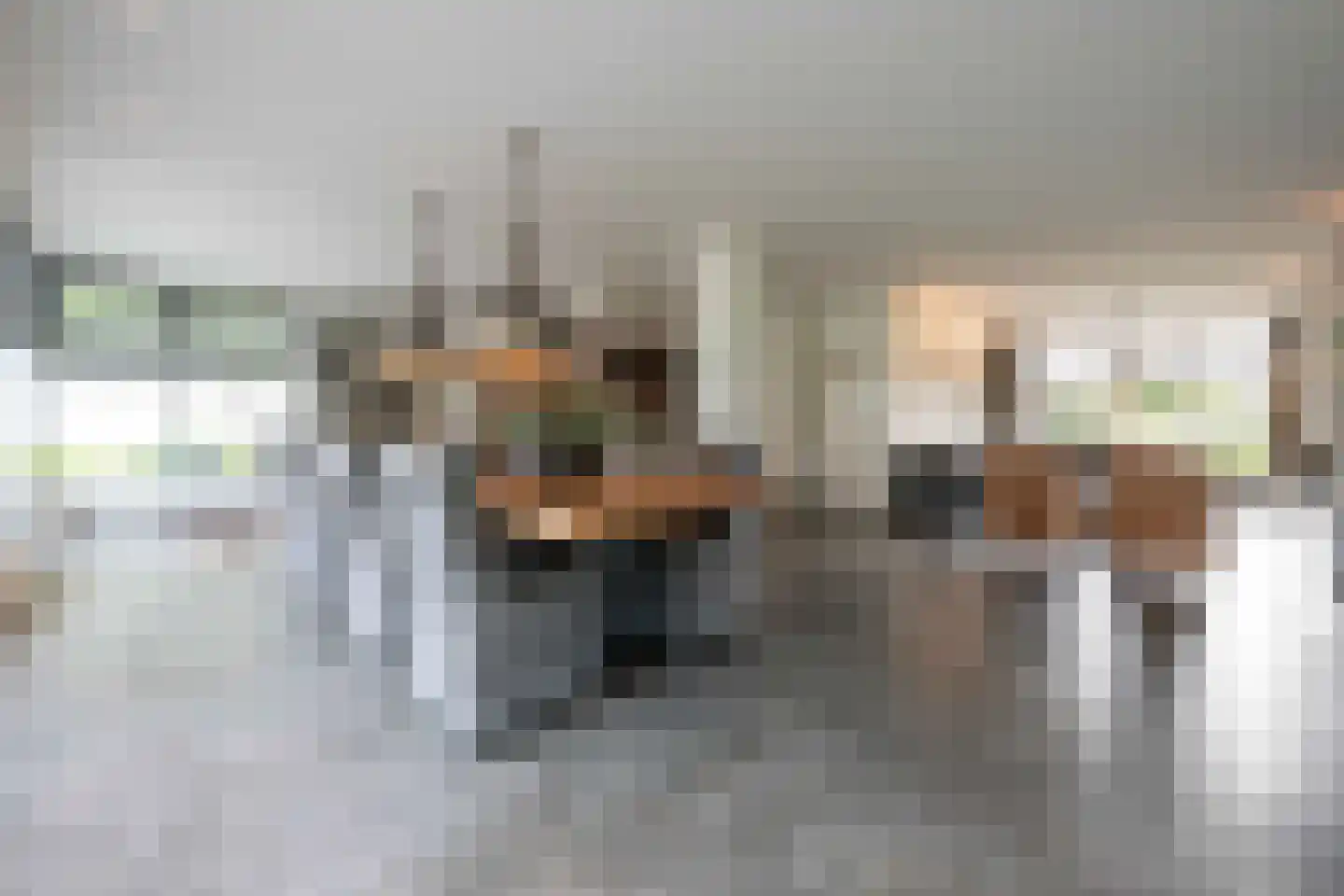 Bovenstraat 48 Hoeven thumbnail 12