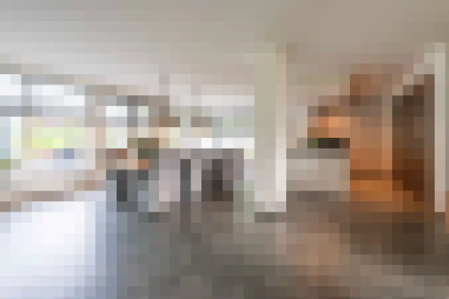 Bovenstraat 48 Hoeven thumbnail 17
