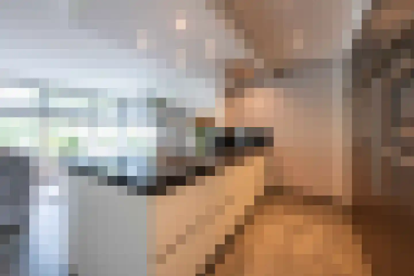 Bovenstraat 48 Hoeven thumbnail 20