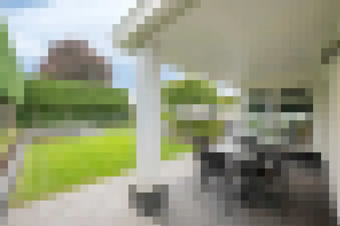 Bovenstraat 48 Hoeven thumbnail 34