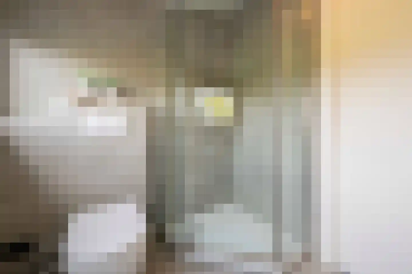 Bovenstraat 48 Hoeven thumbnail 52