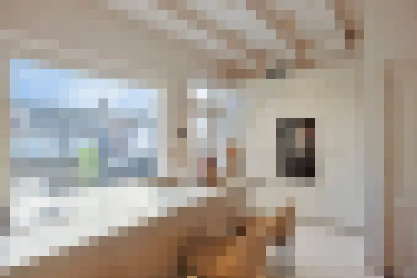Bovenstraat 55 Rotterdam thumbnail 14