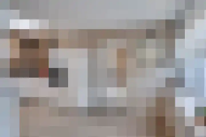 Bovenstraat 6 Limbricht thumbnail 14