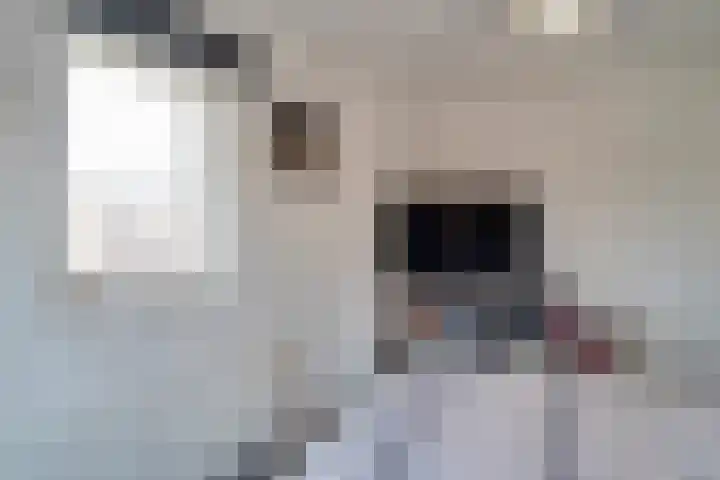 Bovenstraat 6 Limbricht thumbnail 33