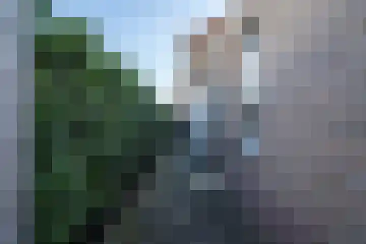 Bovenstraat 6 Limbricht thumbnail 40
