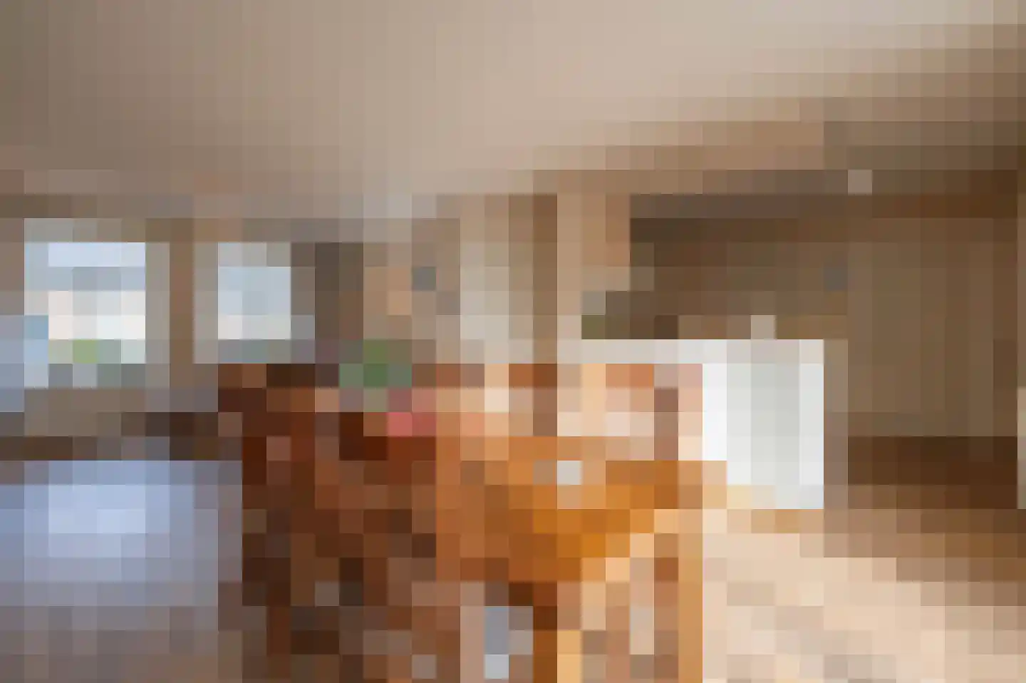 Bovenstraat 7 Hoeven thumbnail 10