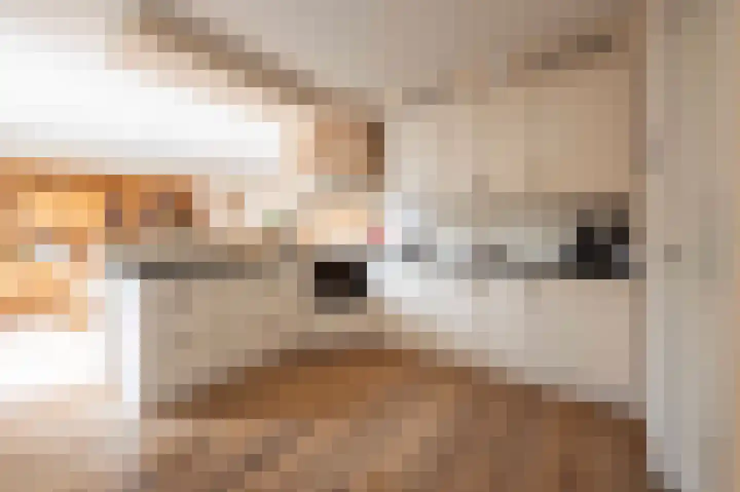 Bovenstraat 7 Hoeven thumbnail 11