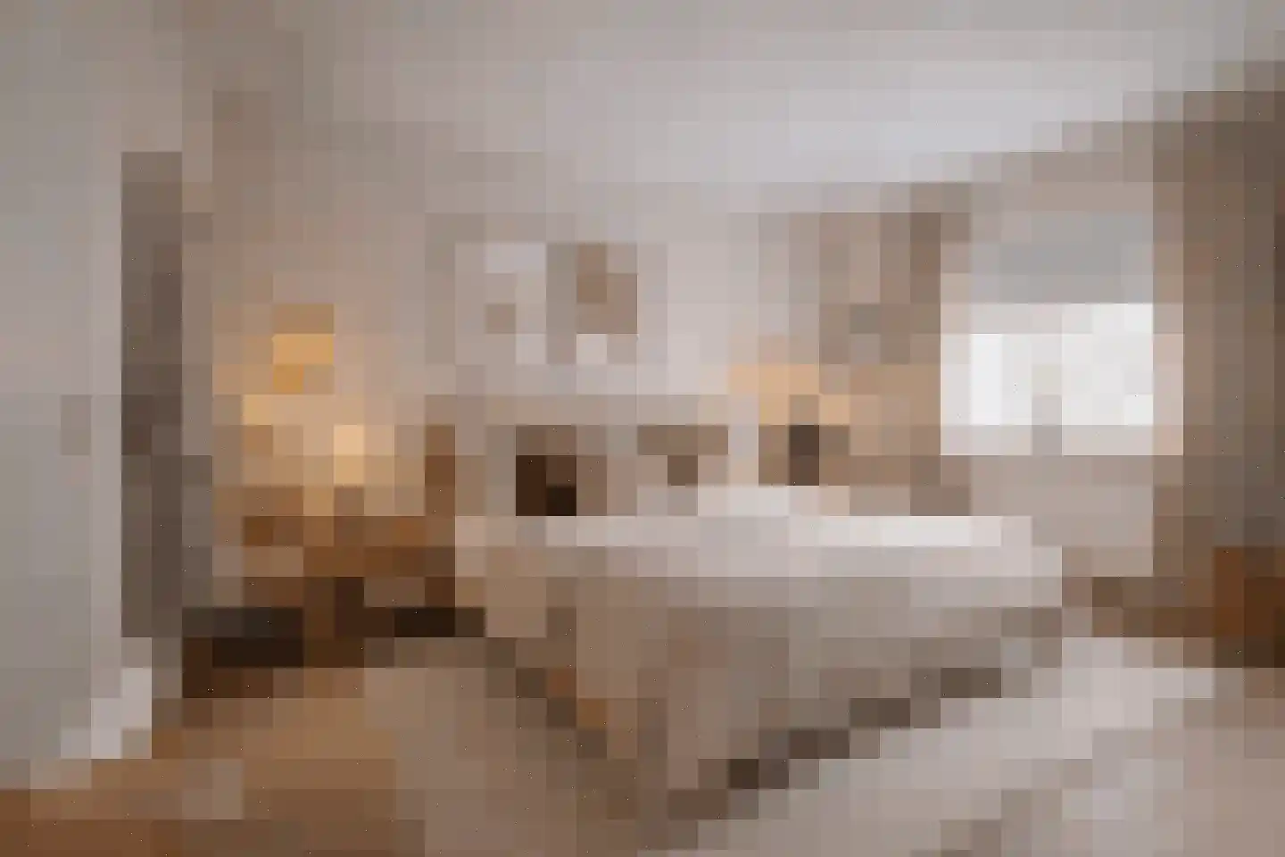 Bovenstraat 7 Hoeven thumbnail 14