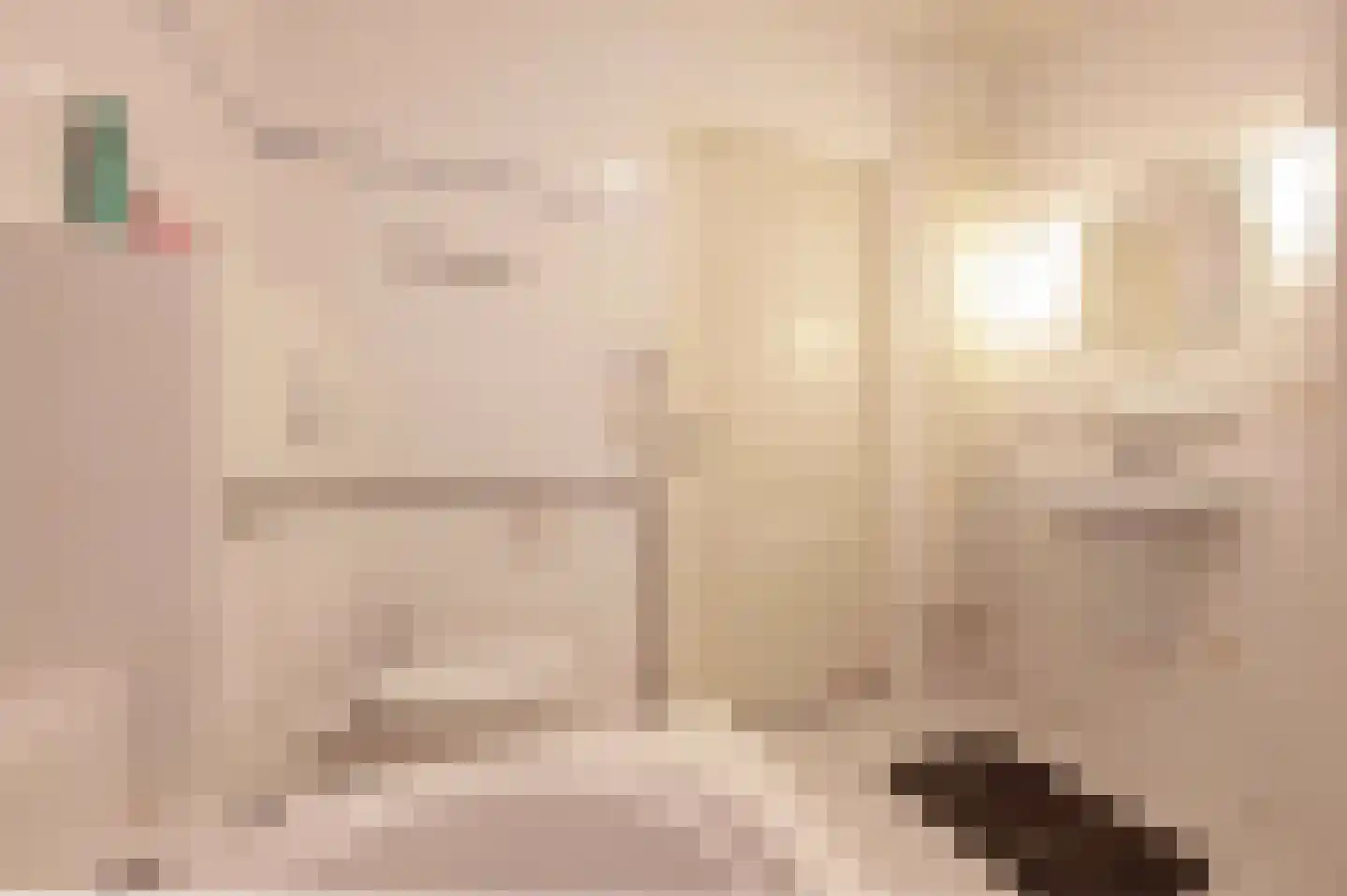 Bovenstraat 7 Hoeven thumbnail 18