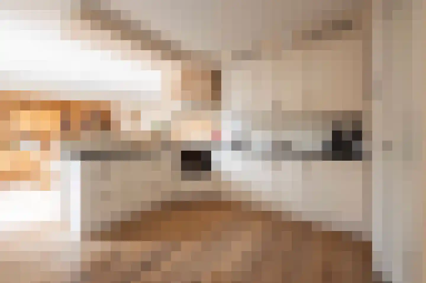 Bovenstraat 7 Hoeven thumbnail 18