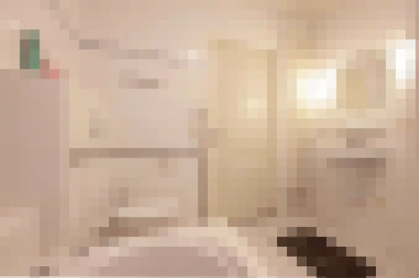 Bovenstraat 7 Hoeven thumbnail 26