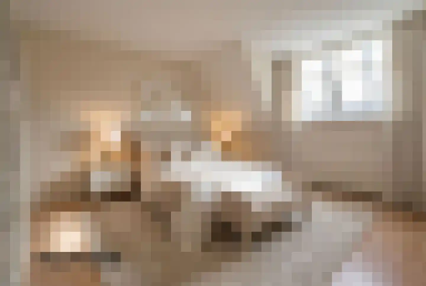 Bovenstraat 7 Hoeven thumbnail 30
