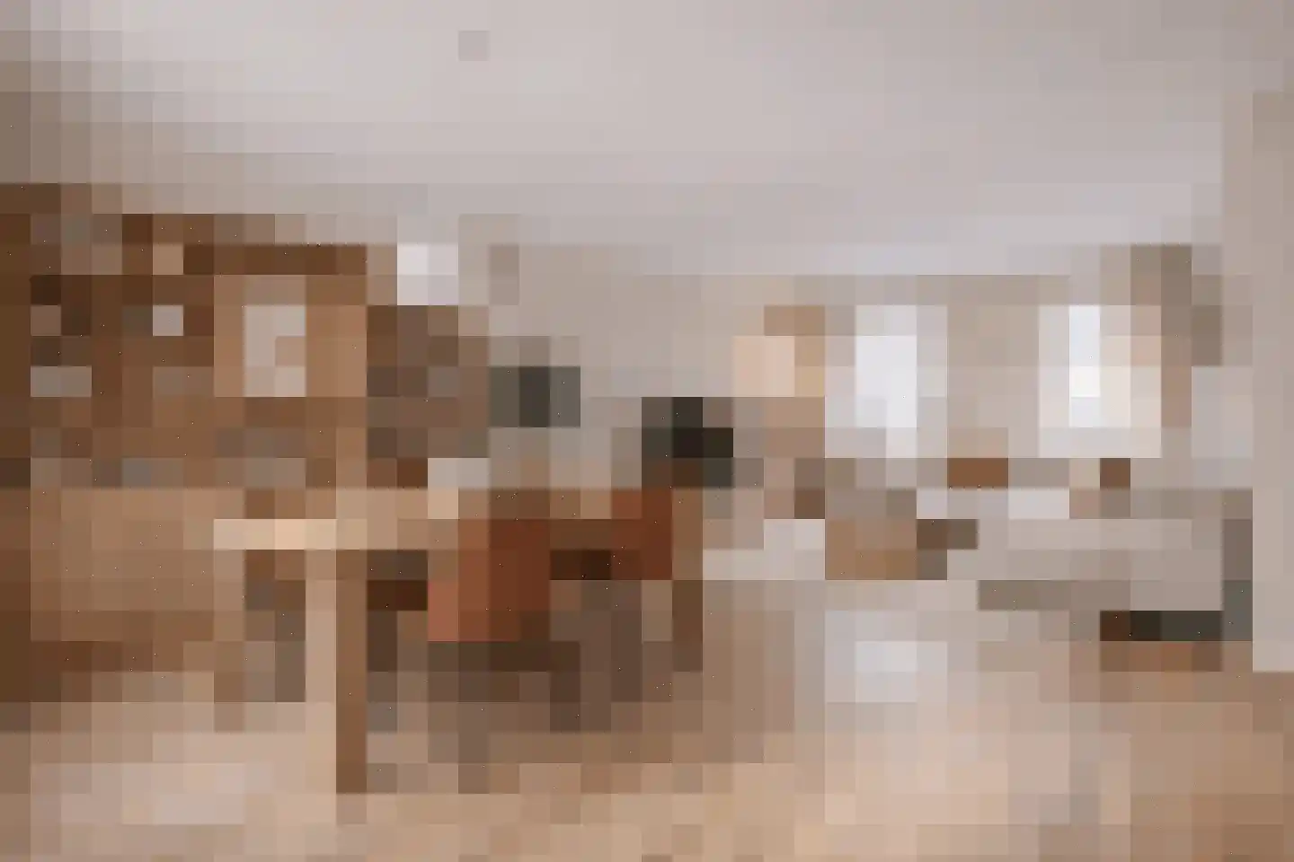 Bovenstraat 7 Hoeven thumbnail 8