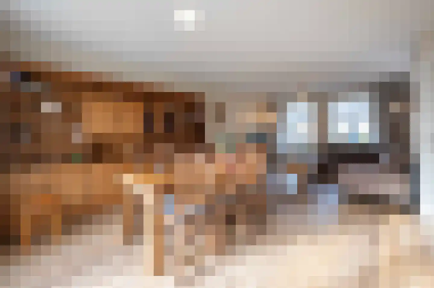 Bovenstraat 7 Hoeven thumbnail 9