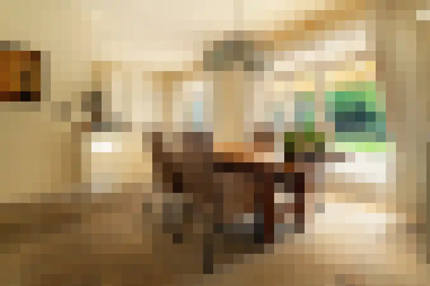 Bovenstraat 73 Hoeven thumbnail 10