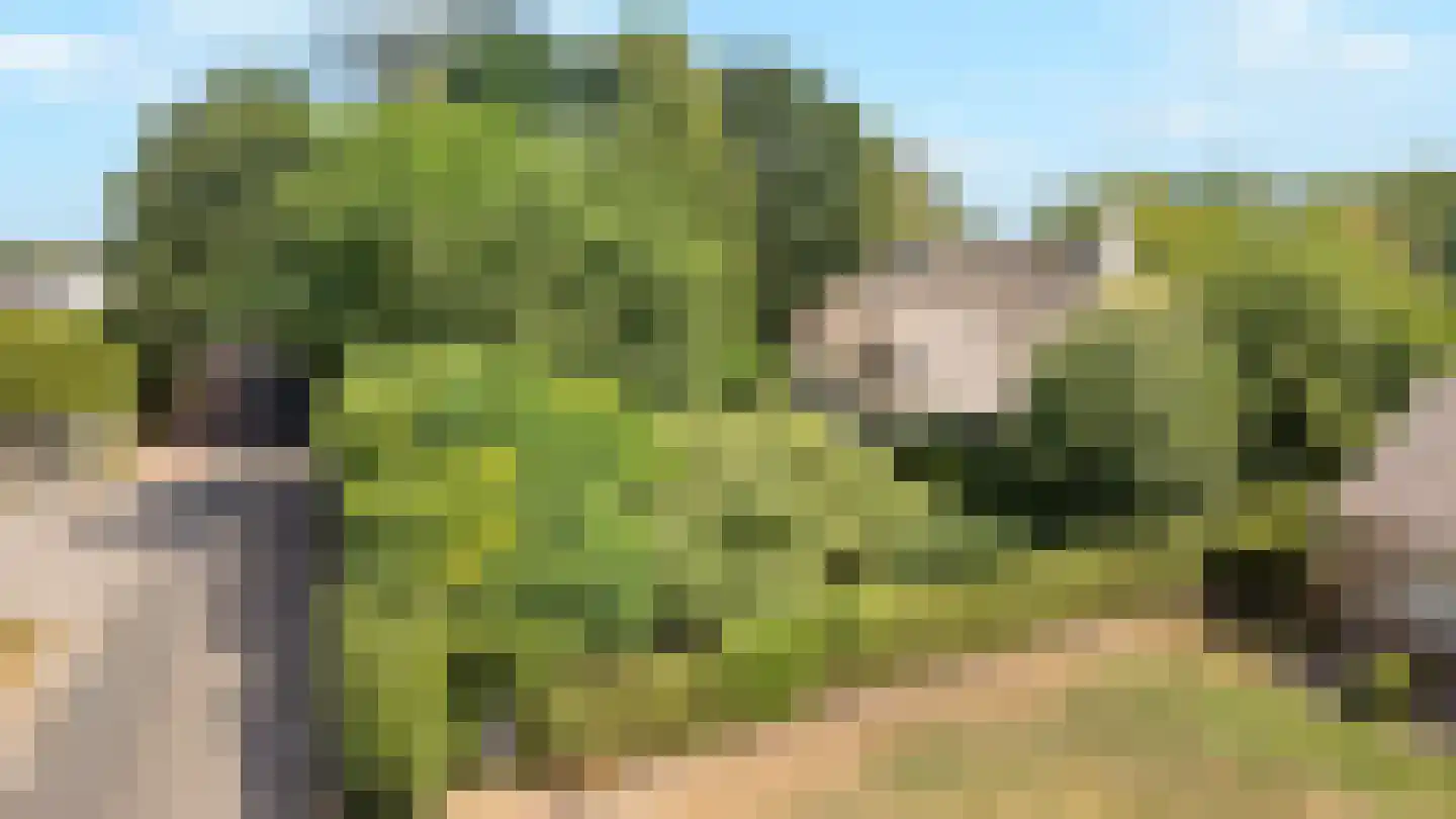 Bovenstraat 73 Hoeven thumbnail 4